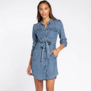 Button up Blue Jean Dress